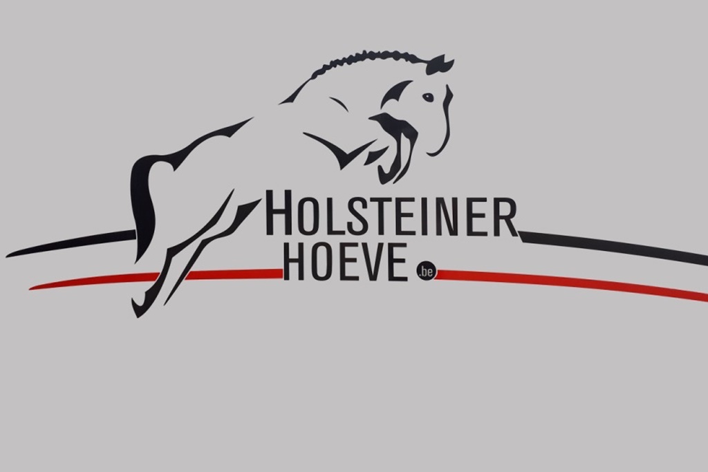 Cosue vd Holsteinerhoeve Z